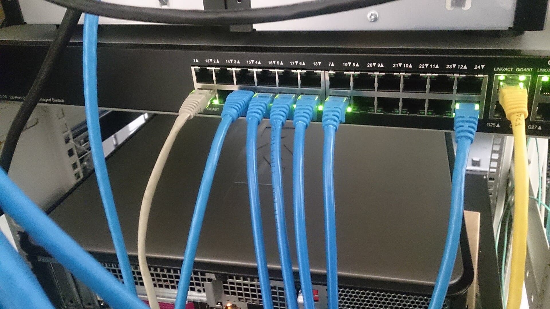 Structured network cabling connected to a switch panel